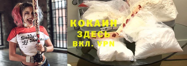 кокс Каменка