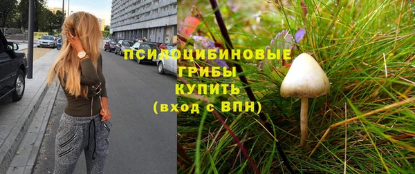 кокс Каменка