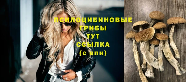 винт Каменногорск