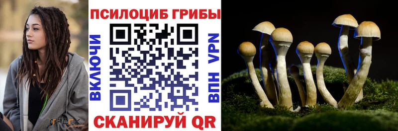 Псилоцибиновые грибы Magic Shrooms  Купить где  Миасс 